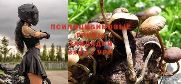 кокс Приозерск