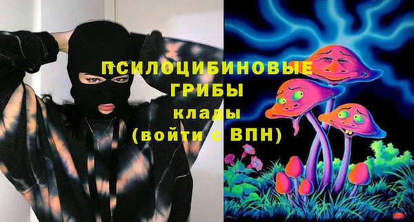 ешки Протвино