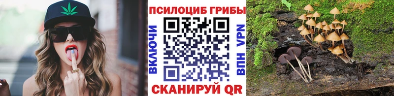Галлюциногенные грибы Cubensis  MEGA как зайти  Шахунья 